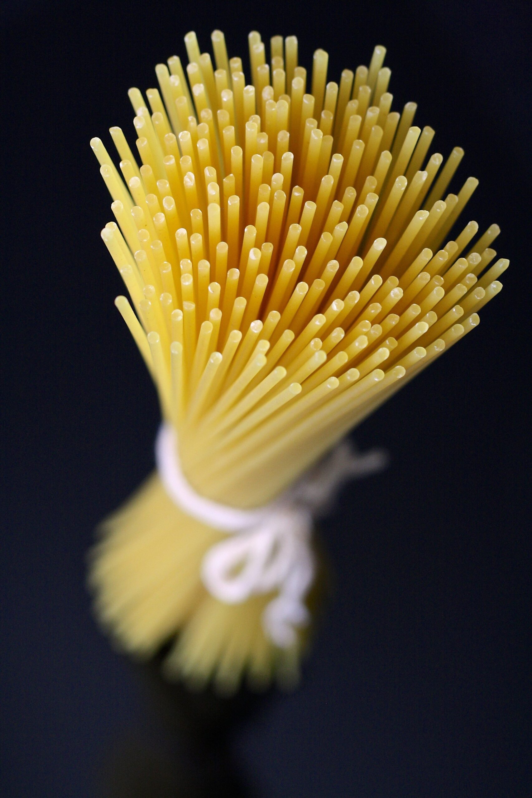 Bio-Spaghetti